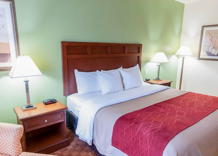 Best Western Texas City